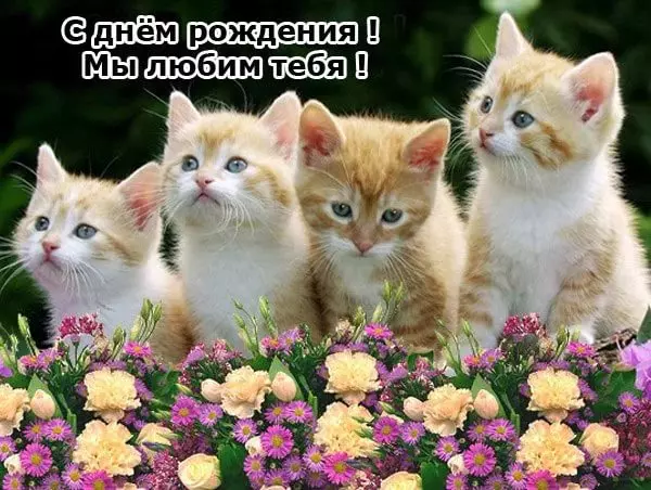 Tapтaлeтки & Ко