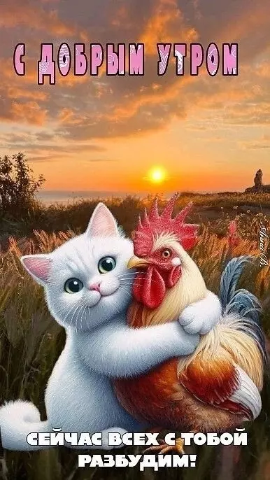 Tapтaлeтки & Ко