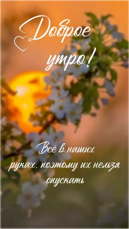Tapтaлeтки & Ко