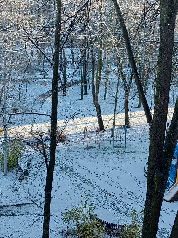 Tapтaлeтки & Ко