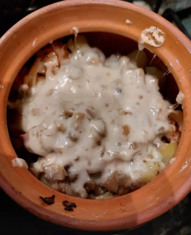 Отзывы о мини-печи GFGril GFO-48BR