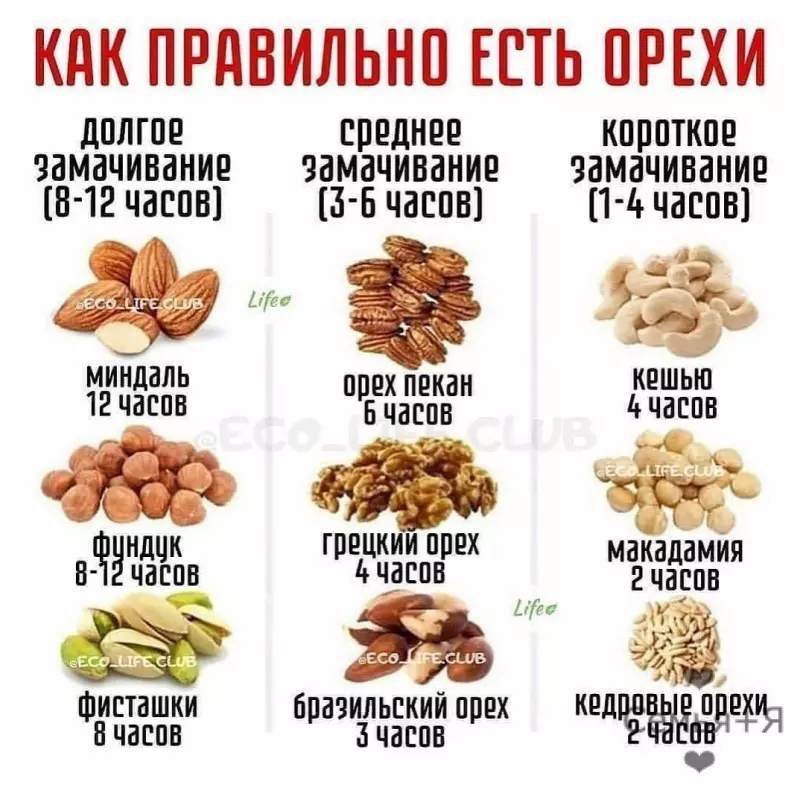 Кулинарная инфографика