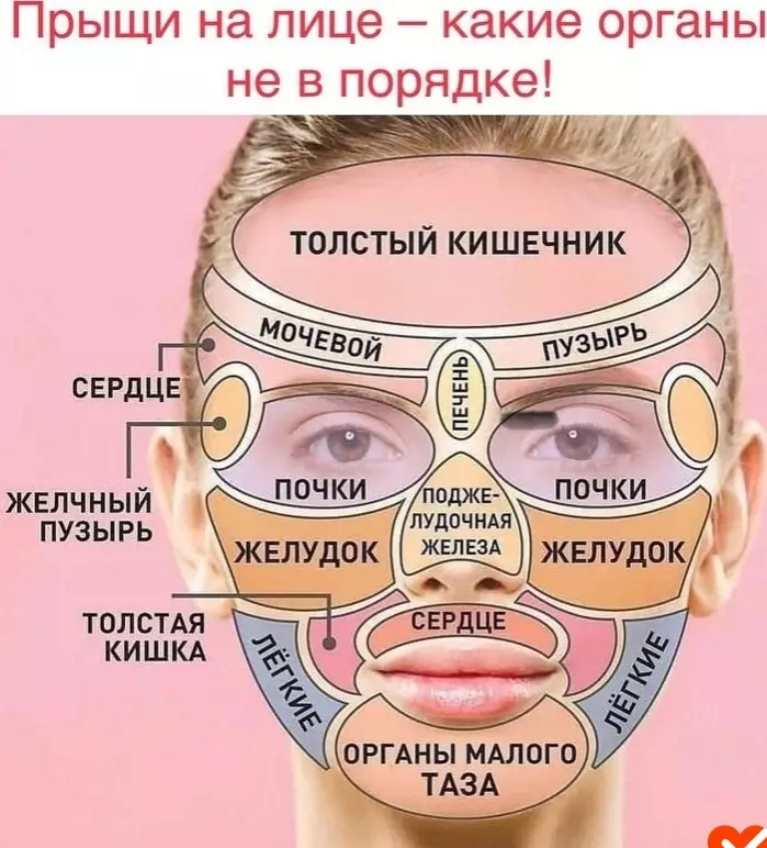 Медицинская инфографика