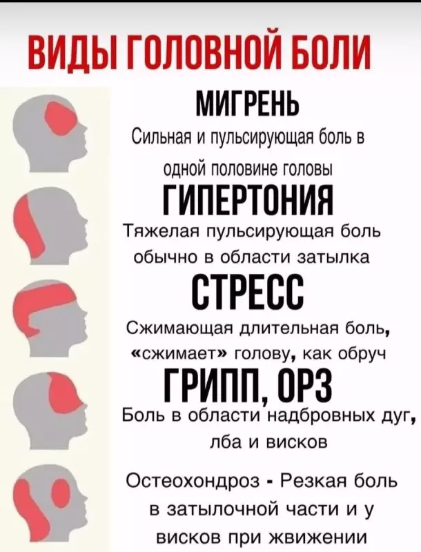 Медицинская инфографика