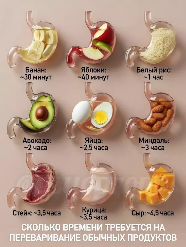 Медицинская инфографика