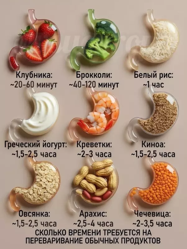 Медицинская инфографика