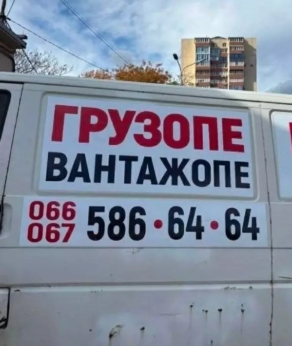 Всюду рифмы