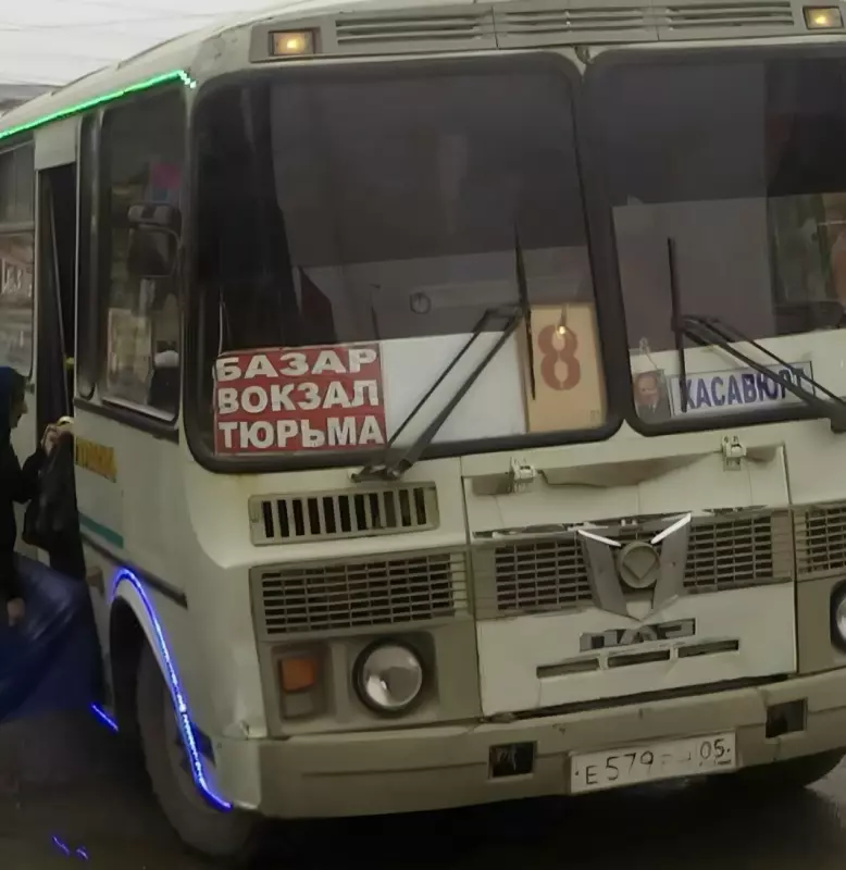 Всюду рифмы