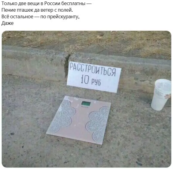 Всюду рифмы