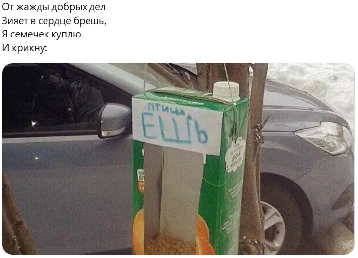 Всюду рифмы