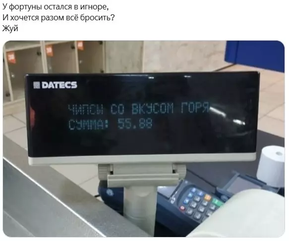 Всюду рифмы