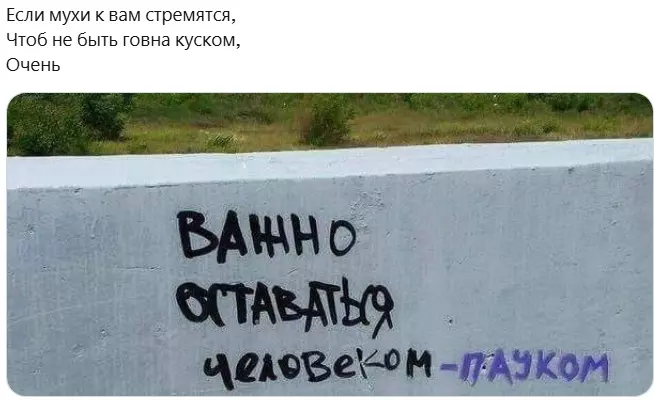 Всюду рифмы