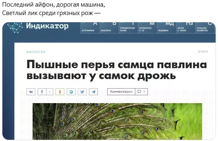Всюду рифмы