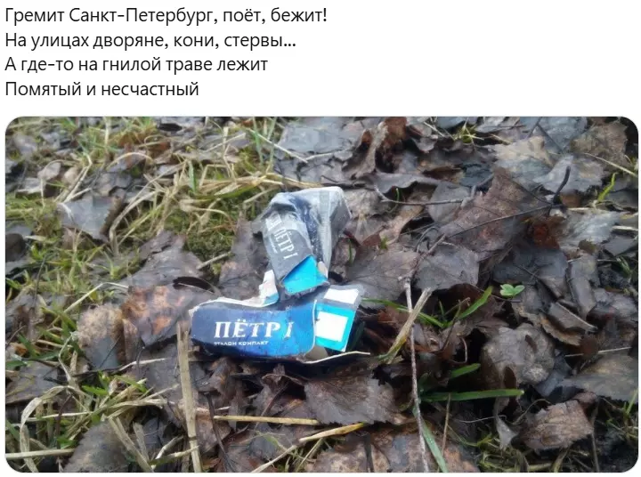 Всюду рифмы