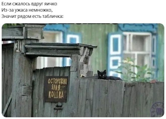 Всюду рифмы