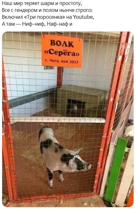 Всюду рифмы