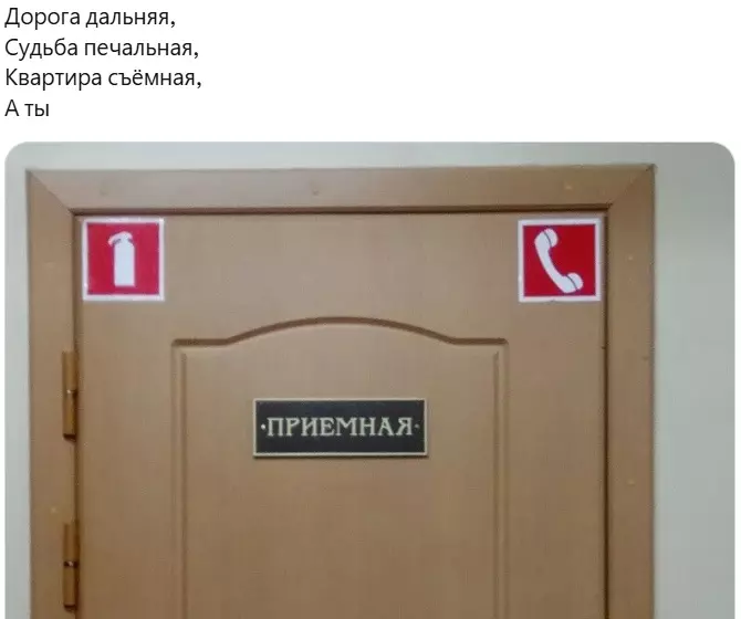 Всюду рифмы