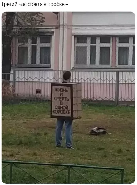Всюду рифмы