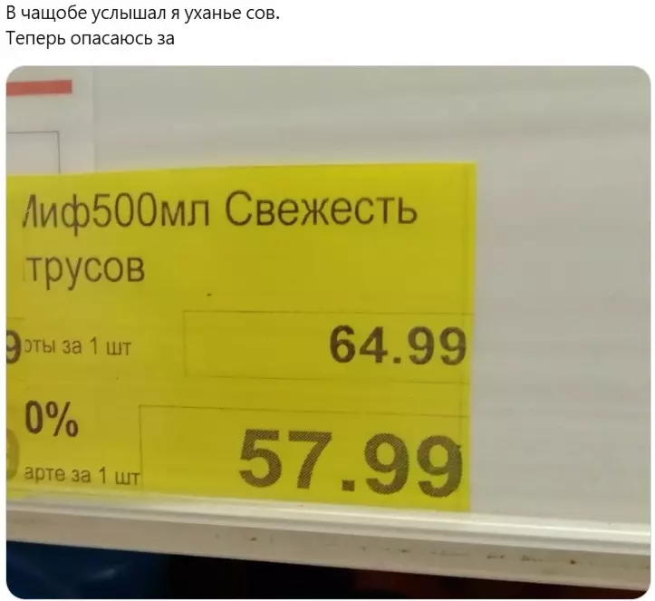 Всюду рифмы