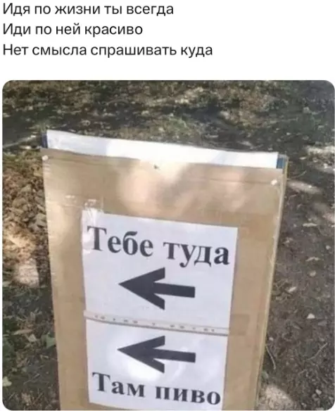 Всюду рифмы