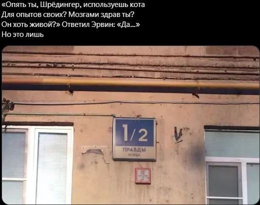 Всюду рифмы