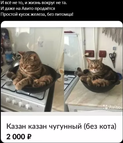 Всюду рифмы