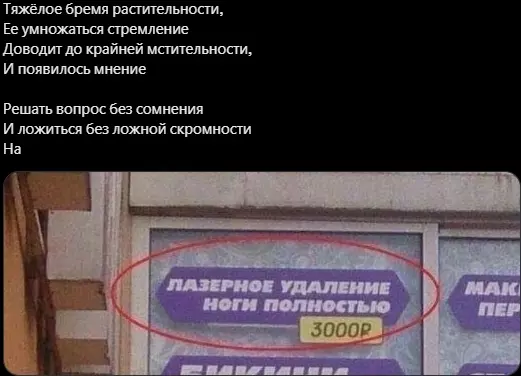 Всюду рифмы