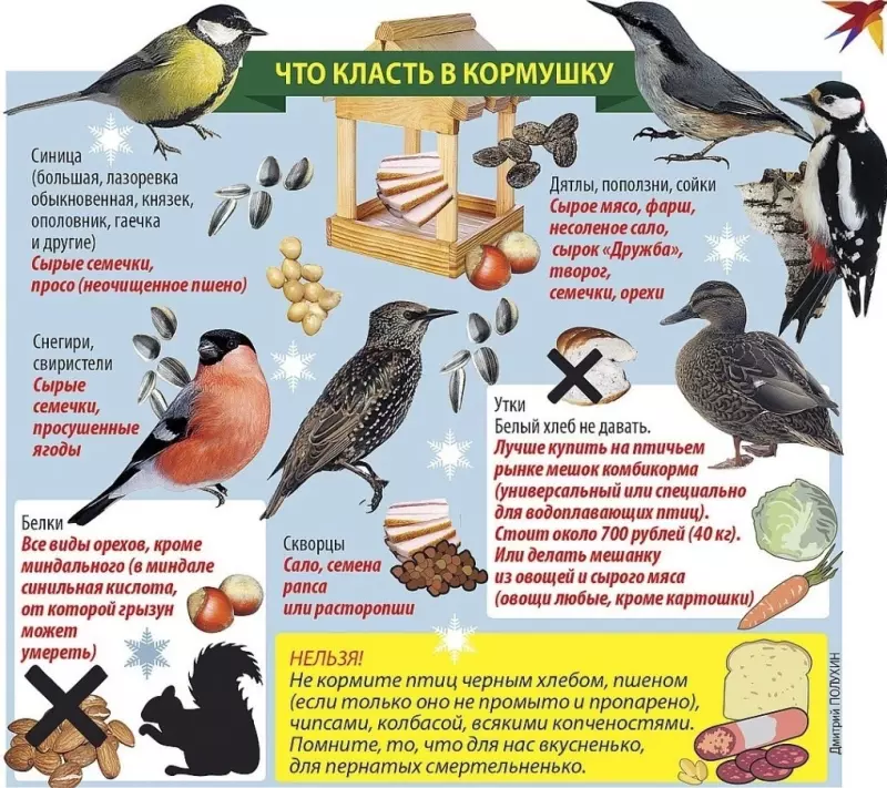 Домашняя инфографика