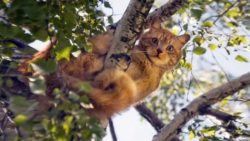 Рассказы для души