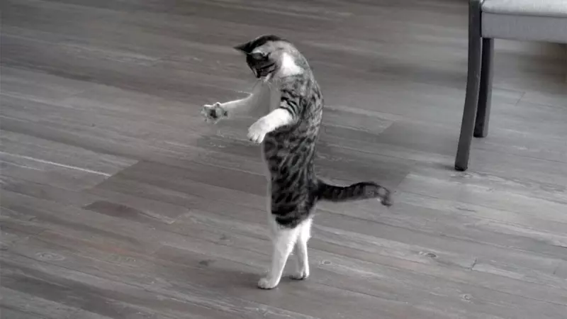 Рассказы для души
