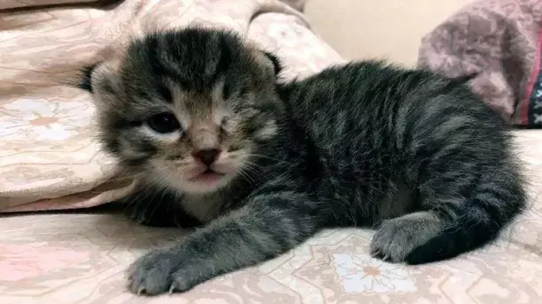 Рассказы для души