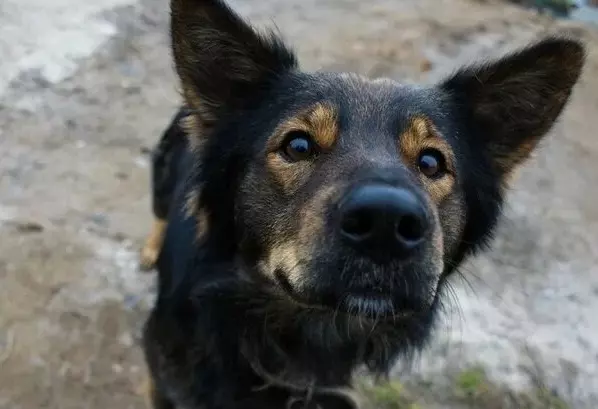 Рассказы для души