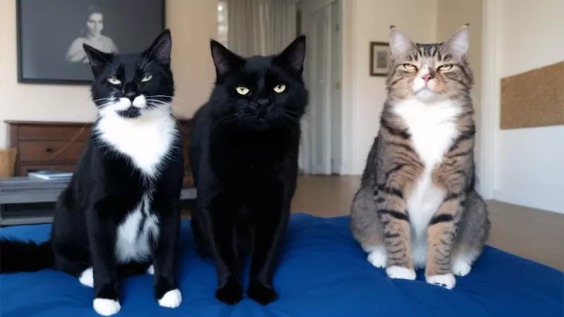 Рассказы для души