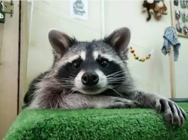 Рассказы для души