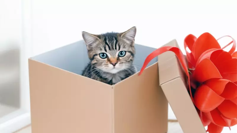 Рассказы для души