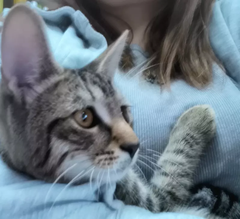 Рассказы для души