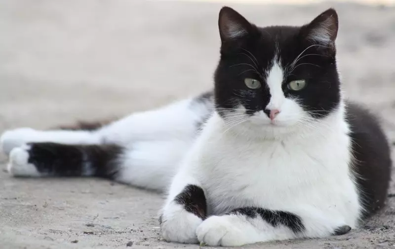 Рассказы для души