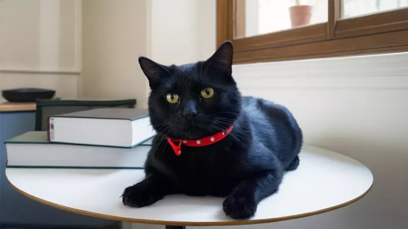 Рассказы для души