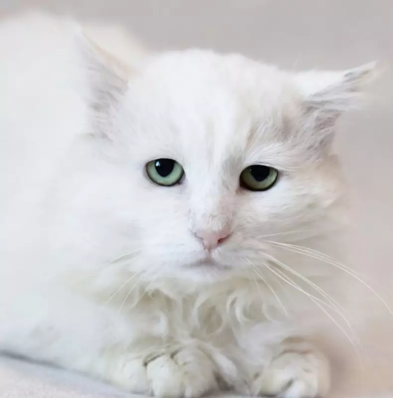 Рассказы для души