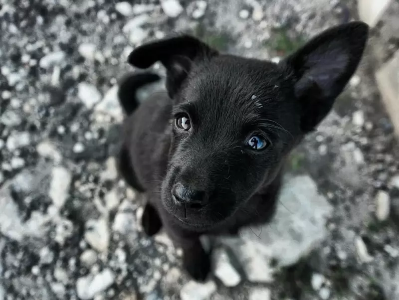 Рассказы для души