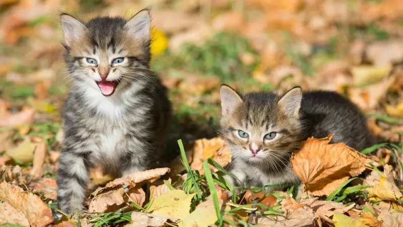 Рассказы для души