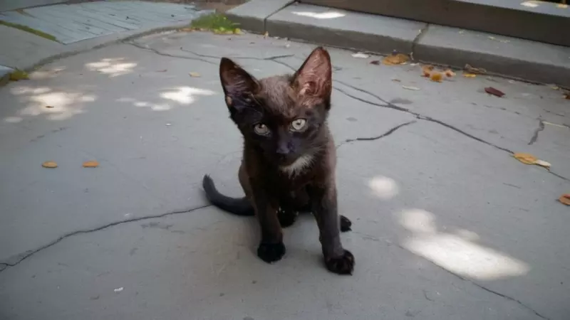 Рассказы для души