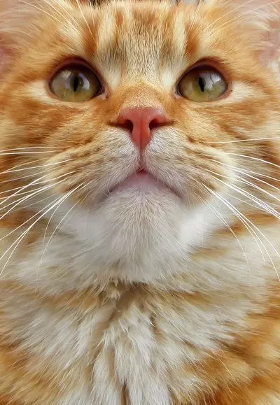 Рассказы для души