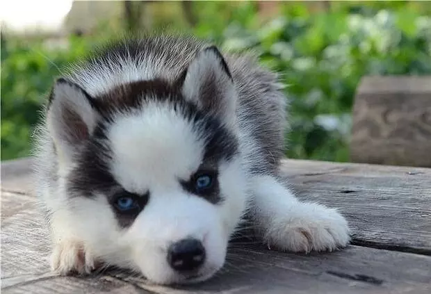 Рассказы для души