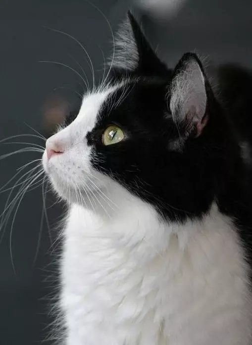 Рассказы для души