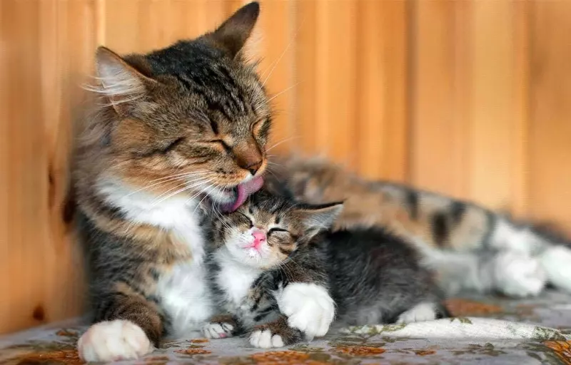 Рассказы для души