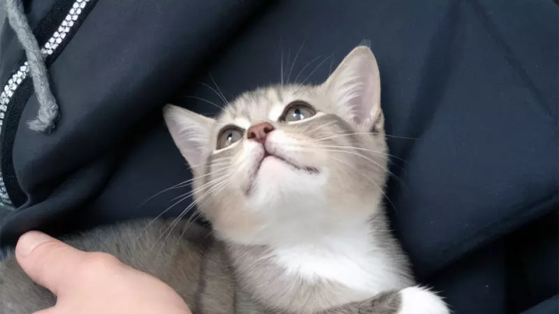 Рассказы для души