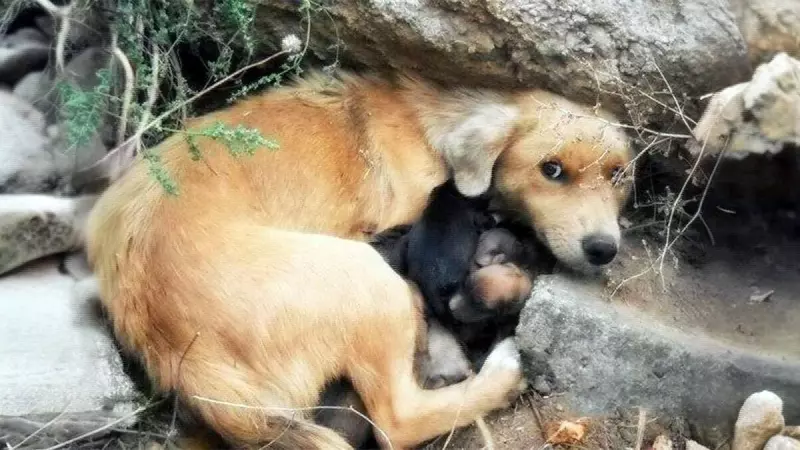 Рассказы для души