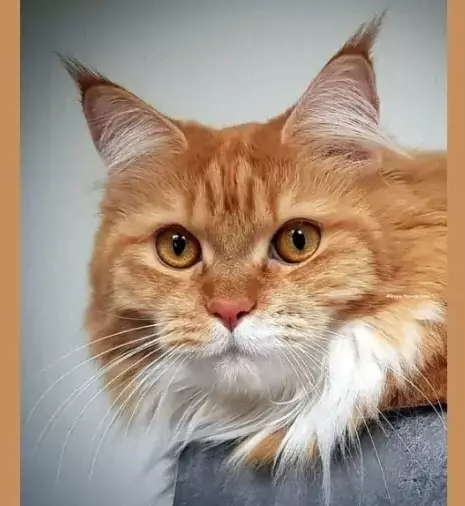 Рассказы для души