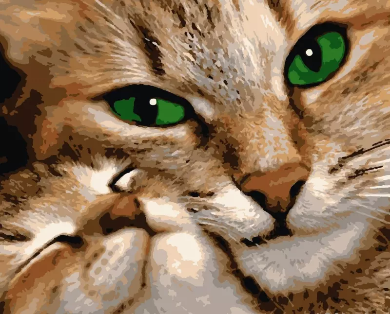 Рассказы для души